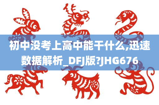 初中没考上高中能干什么,迅速数据解析_DFJ版?JHG676