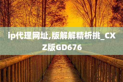 ip代理网址,版解解精析挑_CXZ版GD676