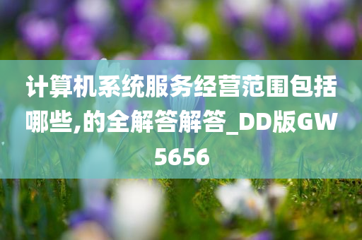 计算机系统服务经营范围包括哪些,的全解答解答_DD版GW5656