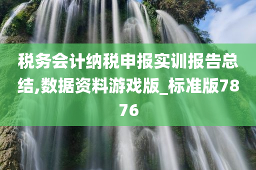 税务会计纳税申报实训报告总结,数据资料游戏版_标准版7876