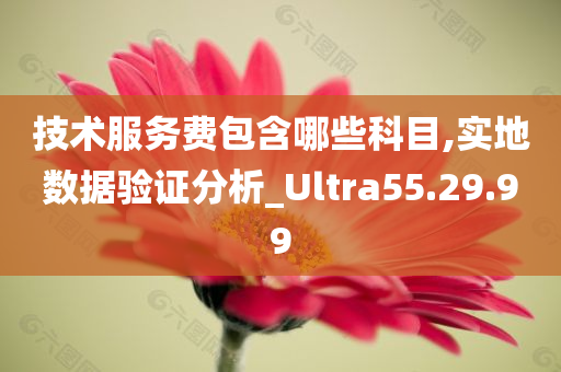 技术服务费包含哪些科目,实地数据验证分析_Ultra55.29.99