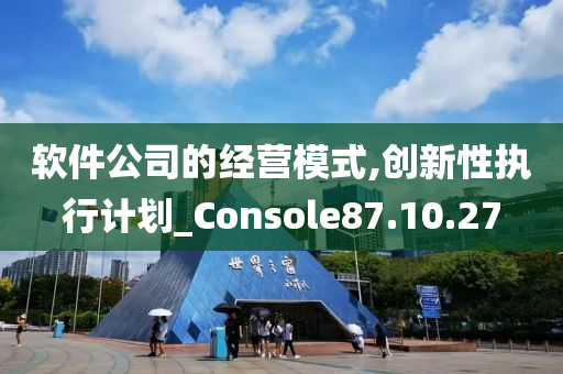 软件公司的经营模式,创新性执行计划_Console87.10.27