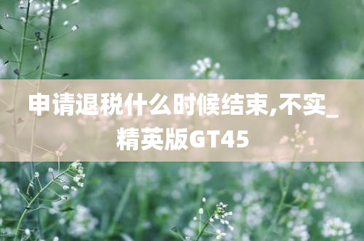 申请退税什么时候结束,不实_精英版GT45