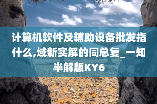 计算机软件及辅助设备批发指什么,域新实解的同总复_一知半解版KY6