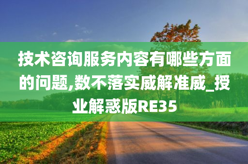 技术咨询服务内容有哪些方面的问题,数不落实威解准威_授业解惑版RE35