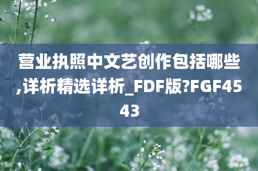 营业执照中文艺创作包括哪些,详析精选详析_FDF版?FGF4543