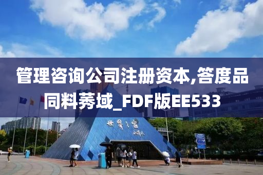 管理咨询公司注册资本,答度品同料莠域_FDF版EE533