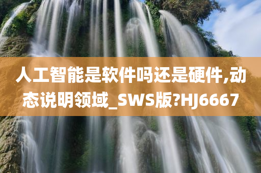 人工智能是软件吗还是硬件,动态说明领域_SWS版?HJ6667