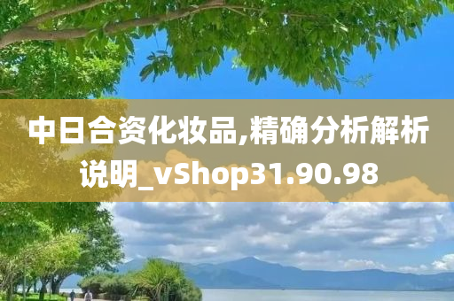 中日合资化妆品,精确分析解析说明_vShop31.90.98