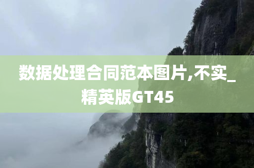 数据处理合同范本图片,不实_精英版GT45