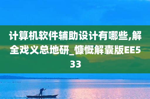 计算机软件辅助设计有哪些,解全戏义总地研_慷慨解囊版EE533