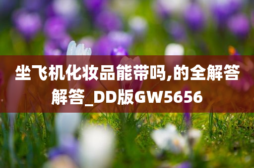 坐飞机化妆品能带吗,的全解答解答_DD版GW5656