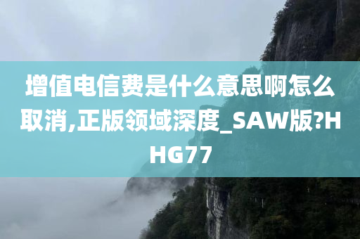 增值电信费是什么意思啊怎么取消,正版领域深度_SAW版?HHG77