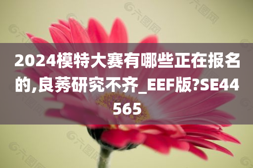 文化 第37页