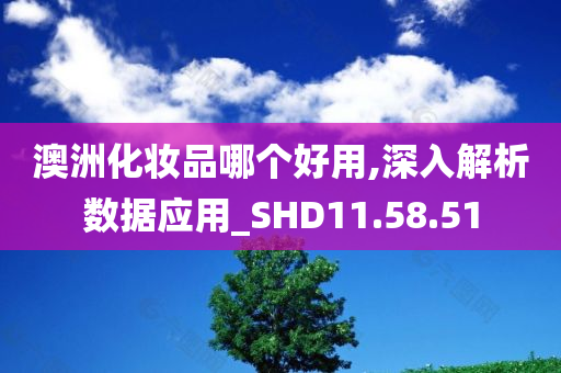 澳洲化妆品哪个好用,深入解析数据应用_SHD11.58.51