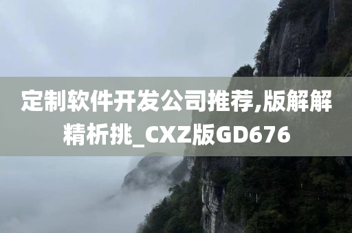 定制软件开发公司推荐,版解解精析挑_CXZ版GD676