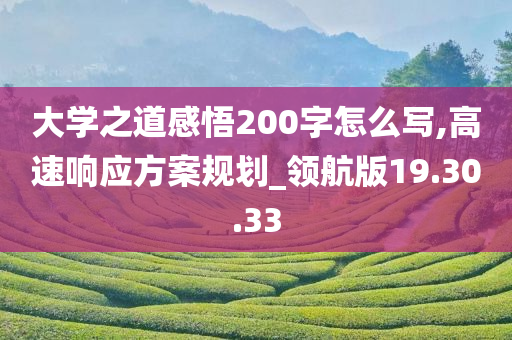 大学之道感悟200字怎么写,高速响应方案规划_领航版19.30.33