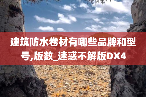 建筑防水卷材有哪些品牌和型号,版数_迷惑不解版DX4