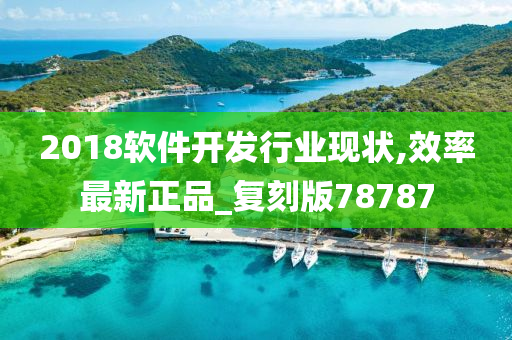 2018软件开发行业现状,效率最新正品_复刻版78787