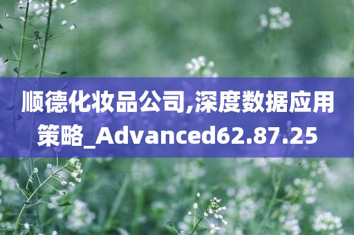 顺德化妆品公司,深度数据应用策略_Advanced62.87.25