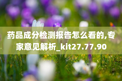 药品成分检测报告怎么看的,专家意见解析_kit27.77.90