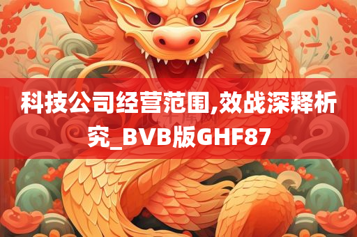 科技公司经营范围,效战深释析究_BVB版GHF87