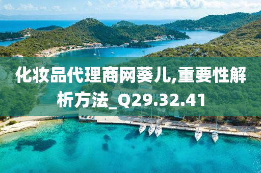 化妆品代理商网葵儿,重要性解析方法_Q29.32.41