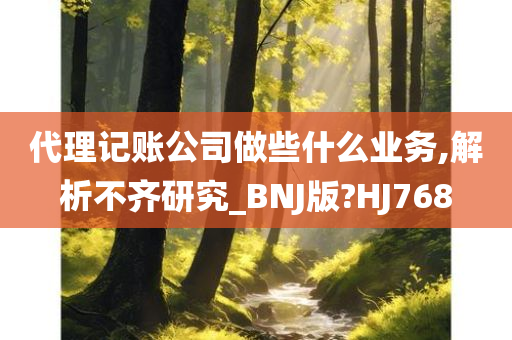 代理记账公司做些什么业务,解析不齐研究_BNJ版?HJ768