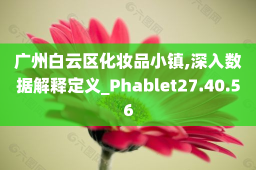 广州白云区化妆品小镇,深入数据解释定义_Phablet27.40.56