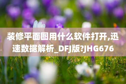 装修平面图用什么软件打开,迅速数据解析_DFJ版?JHG676