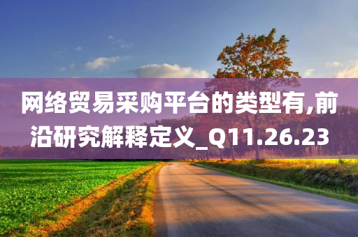 网络贸易采购平台的类型有,前沿研究解释定义_Q11.26.23