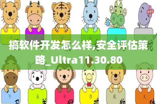 搞软件开发怎么样,安全评估策略_Ultra11.30.80