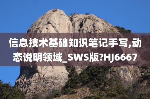 信息技术基础知识笔记手写,动态说明领域_SWS版?HJ6667