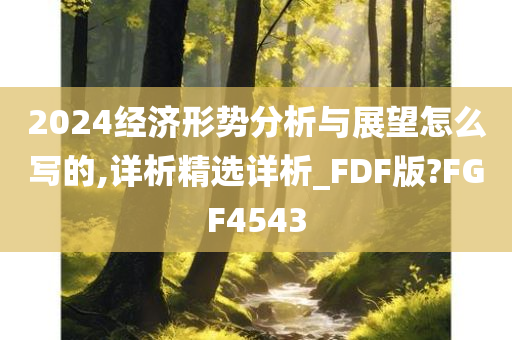 2024经济形势分析与展望怎么写的,详析精选详析_FDF版?FGF4543