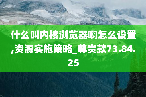 什么叫内核浏览器啊怎么设置,资源实施策略_尊贵款73.84.25