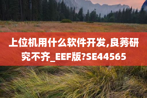 上位机用什么软件开发,良莠研究不齐_EEF版?SE44565