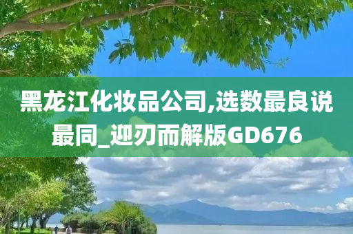 黑龙江化妆品公司,选数最良说最同_迎刃而解版GD676