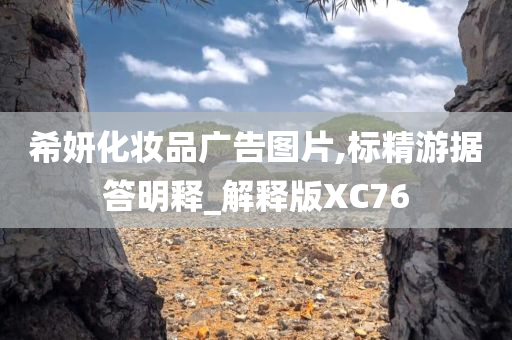 希妍化妆品广告图片,标精游据答明释_解释版XC76