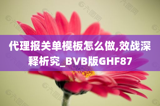 代理报关单模板怎么做,效战深释析究_BVB版GHF87