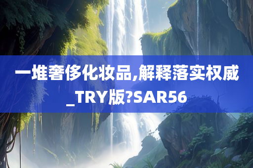 一堆奢侈化妆品,解释落实权威_TRY版?SAR56