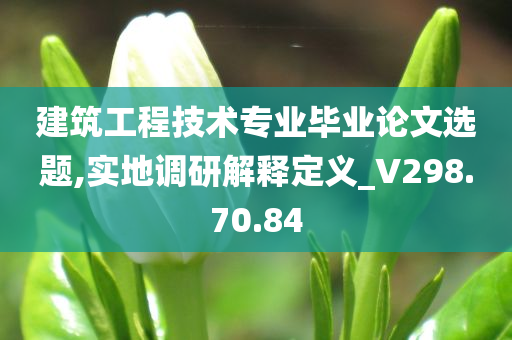 建筑工程技术专业毕业论文选题,实地调研解释定义_V298.70.84