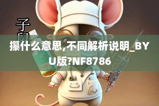 攥什么意思,不同解析说明_BYU版?NF8786