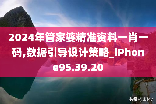 2024年管家婆精准资料一肖一码,数据引导设计策略_iPhone95.39.20