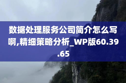 数据处理服务公司简介怎么写啊,精细策略分析_WP版60.39.65