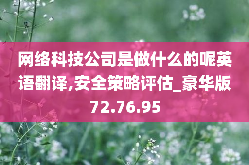 网络科技公司是做什么的呢英语翻译,安全策略评估_豪华版72.76.95