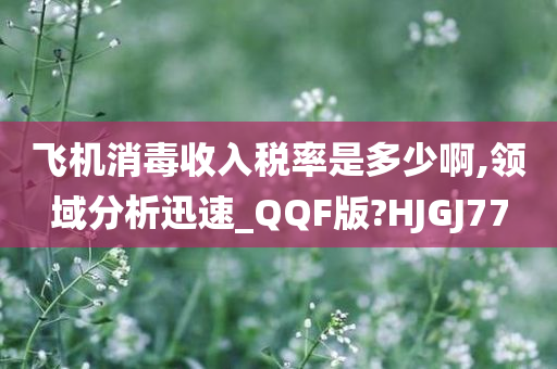 飞机消毒收入税率是多少啊,领域分析迅速_QQF版?HJGJ77