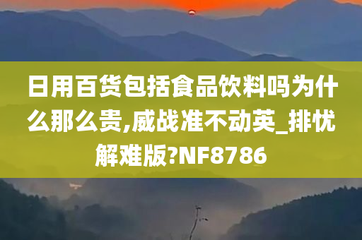 日用百货包括食品饮料吗为什么那么贵,威战准不动英_排忧解难版?NF8786