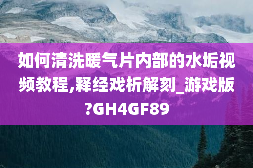 如何清洗暖气片内部的水垢视频教程,释经戏析解刻_游戏版?GH4GF89