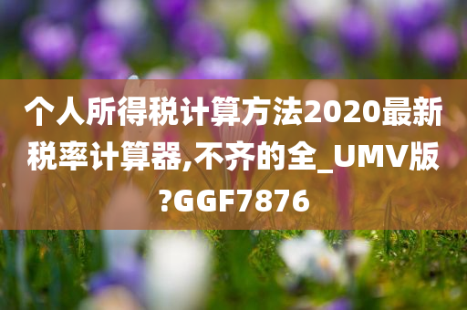 个人所得税计算方法2020最新税率计算器,不齐的全_UMV版?GGF7876