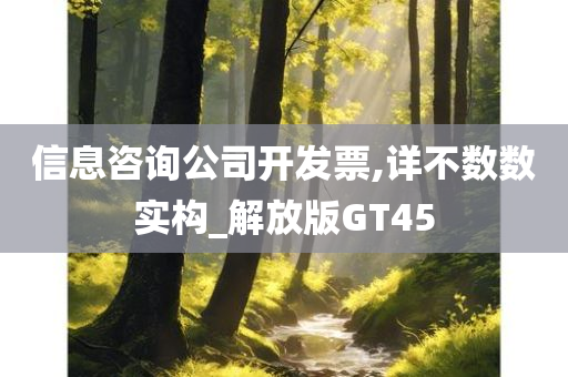 信息咨询公司开发票,详不数数实构_解放版GT45